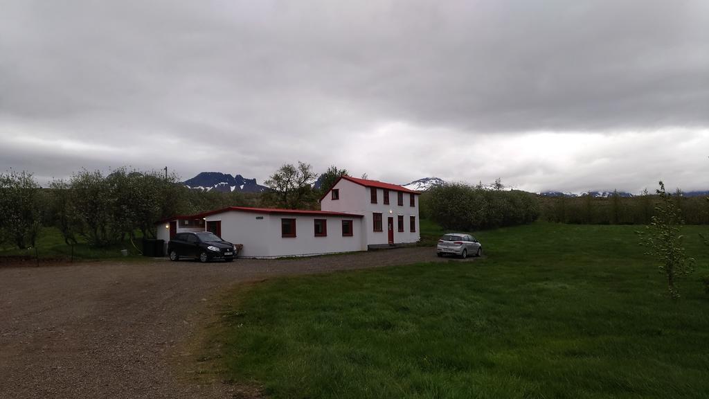 Fossardalur Guesthouse Djupivogur Bagian luar foto