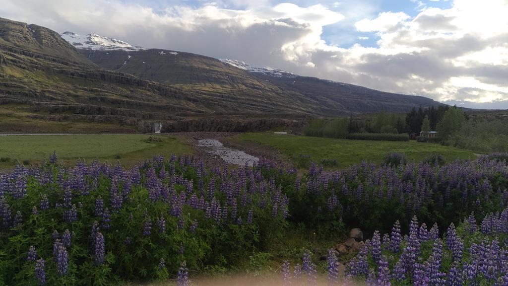 Fossardalur Guesthouse Djupivogur Bagian luar foto